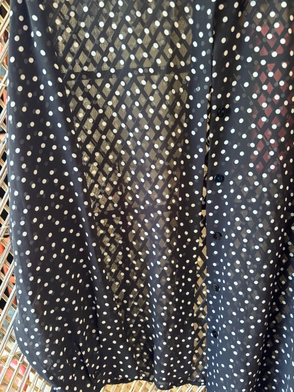 Jaclyn Smith Black and White Polka Dot Sheer Blouse - Picture 4 of 4